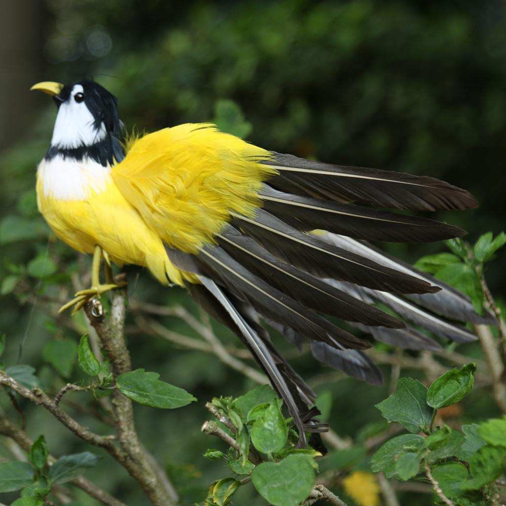 Оперенная Воробьиная Домашняя Садовая Орнаментация