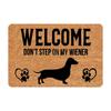 Non- Door Mat, Indoor And Outdoor Carpet, Home Welcome Mat