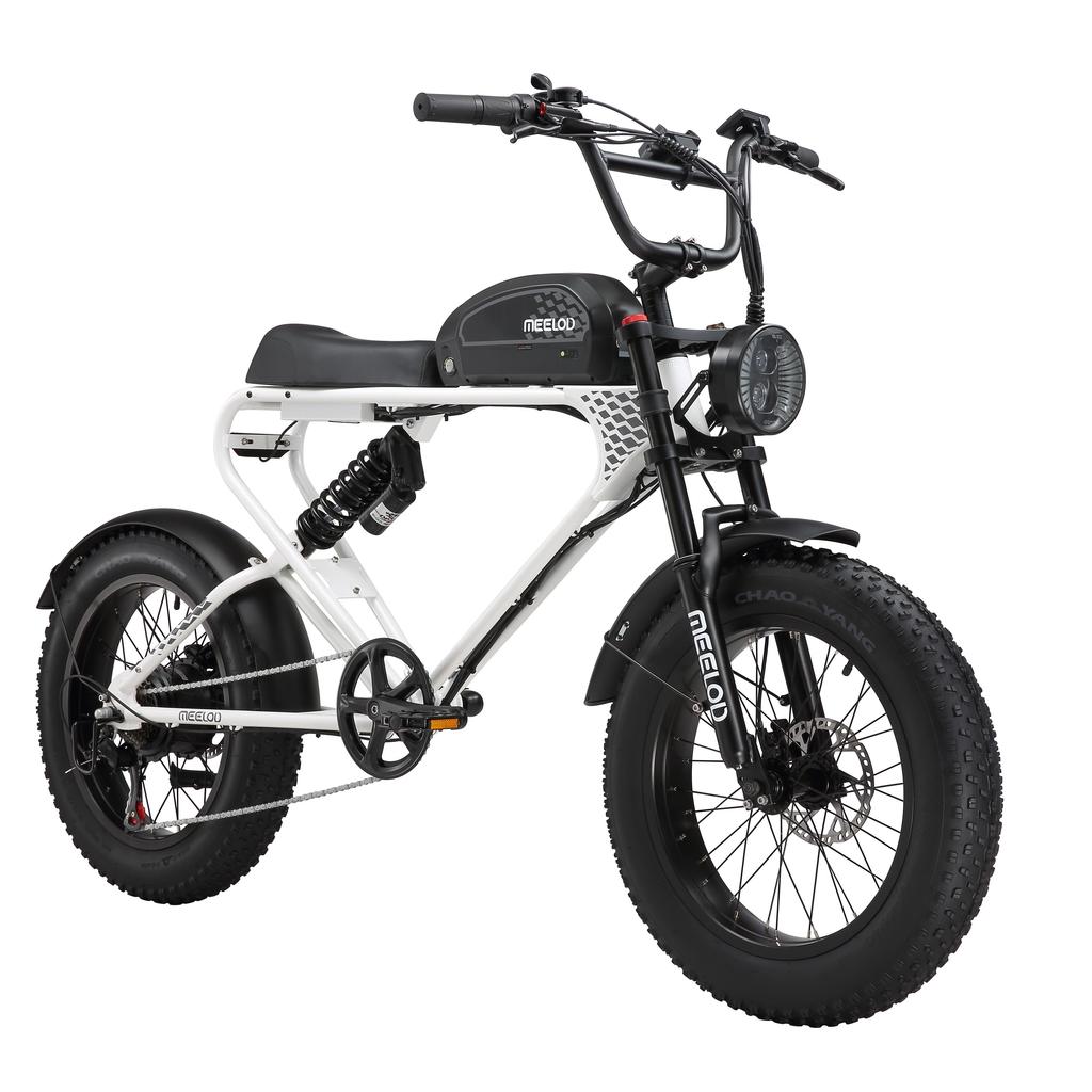 MEELOD DK300PLUS Adult Electric Bicycle 750W Motor 48V20Ah Battery Electrical Road Bike 20" Fat Tire Retro Urban Commuting Mountain E-Bike