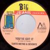 7inch Record TANTO METRO & DEVONTE / FUTURE TROU - You've Got It / Feeling Horny BJ049 Big Jeans Recor 2004 Jamaica Reggae, Ska & Dub Used