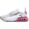 Nike Air Max 2090 'Арбуз' GS CJ4066-003