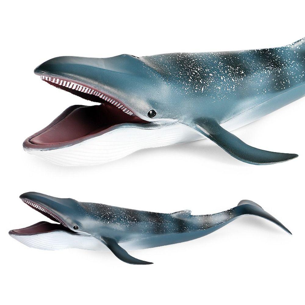 Realistic Blue Whale Action Figure Toy Wild Whale Desktop Ornament Educational Kids Toy