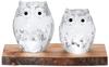 Adelia Traditional Tsugaru Glass Owl and Apple Wooden Stand, Clear, FS-71523, 21.5 X 16.6 X 12.3 Cm