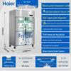 Haier 912L Commercial Four-Door Refrigerator Freezer CN plug (adapter included)