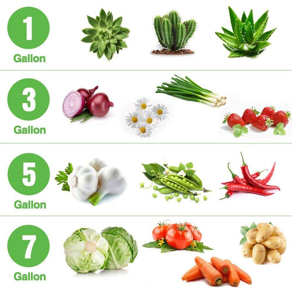 Ферма семян Овощной контейнер Картофельный цветочный горшок Войлок 5/7/10 галлонов Мешок для выращивания растений