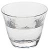 Takasegawa Sake Glass 80ml