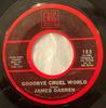 7inch Record JAMES DARREN - Goodbye Cruel World / Her Royal Maj 183 Eric Records US Rock Used