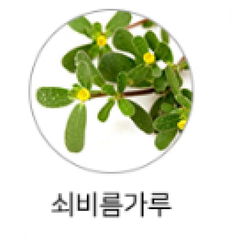 LINDSAY Lindsay Premium Cool Tea Tree Modeling Pack 1 кг