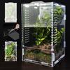 Acrylic Jumping Spider Enclosure Escape Proof Buckle Lock Ventilated Transparent Reptile Tank