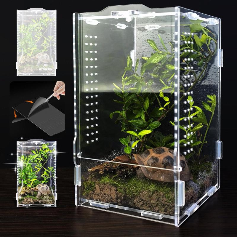 Acrylic Jumping Spider Enclosure Escape Proof Buckle Lock Ventilated Transparent Reptile Tank
