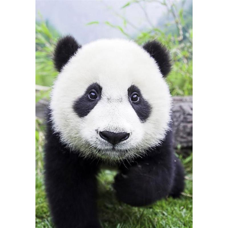 DIY 5D Алмазная вышивка Панда Алмазная картина Вышивка крестом Полный круглый дрель Горный хрусталь Подарок Настенное искусство Домашний декор