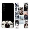 Чехол для телефона с хаски Для Huawei P 8 9 10 20 30 40 50 Pro Lite Psmart Honor 10 lite 70 Mate 20lite