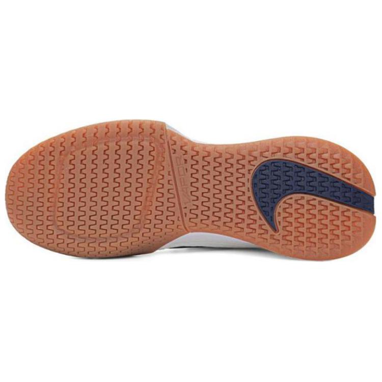 Nike Court Air Zoom Vapor Pro 3 HC Light Bone Binary Blue Women Sneakers Cream Summit-White Phantom FZ2158-100