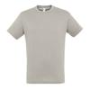 Unisex Adult Regent T-Shirt