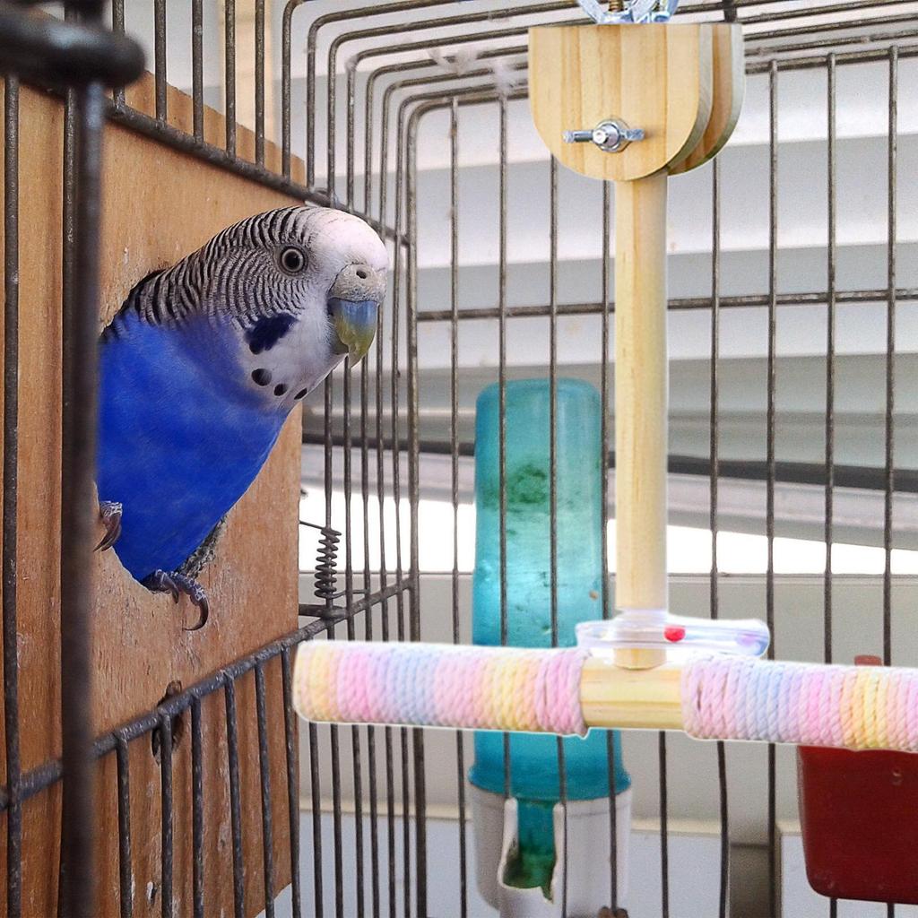 Стойка-жердочка для птиц, Жердочки из хлопковой веревки для птиц, Игрушки-качели для попугаев, Гамак, Аксессуары для клетки для зябликов, неразлучников, волнистых попугайчиков, для упражнений