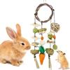 Pigs Teeth Grinding Natural Hanging Cage Accessories Molar Rattan Ring Buuny Chew Toy Rabbit Treats