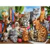 5d Diy Diamond Painting Cat Full Drill Round Diamond Mosaic Animal  Picture Of Rhinestones Embroidery