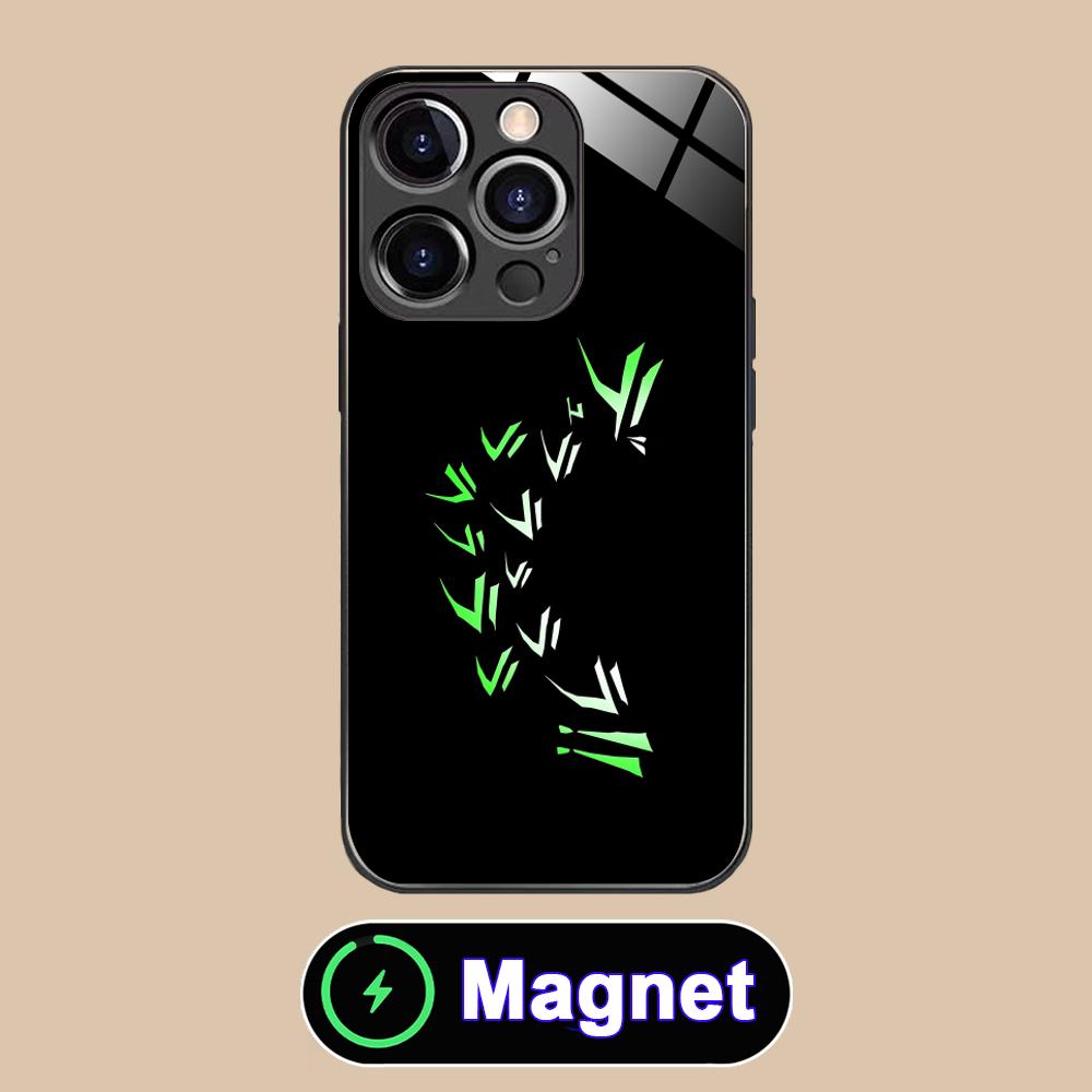 Anime Durarara Phone Case for iPhone 17 16 15 14 13 12 11 Air Pro Max Plus Mini Glass MagSafe Cover