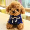 Nature Times Soft Poodle Hooded Dog Plush + Poodle Keyring, 20cm, Navy Hood, Popular Toys for Korean Children