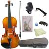 STENTOR Набор скрипки размера 4/4 SV-120 9 предметов
