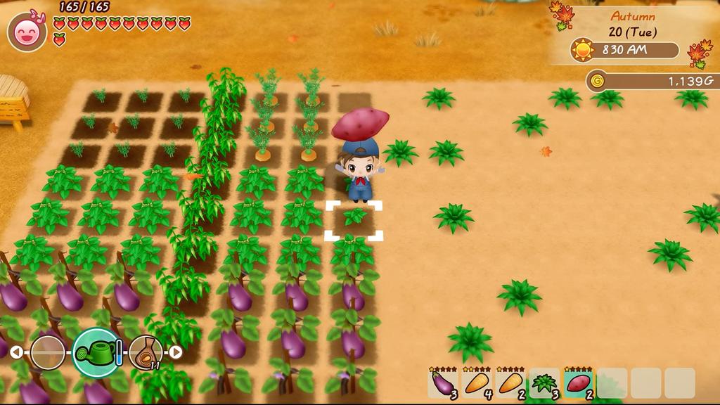 Story of Friends of Mineral Town North PS4 Seasons (Import America) -