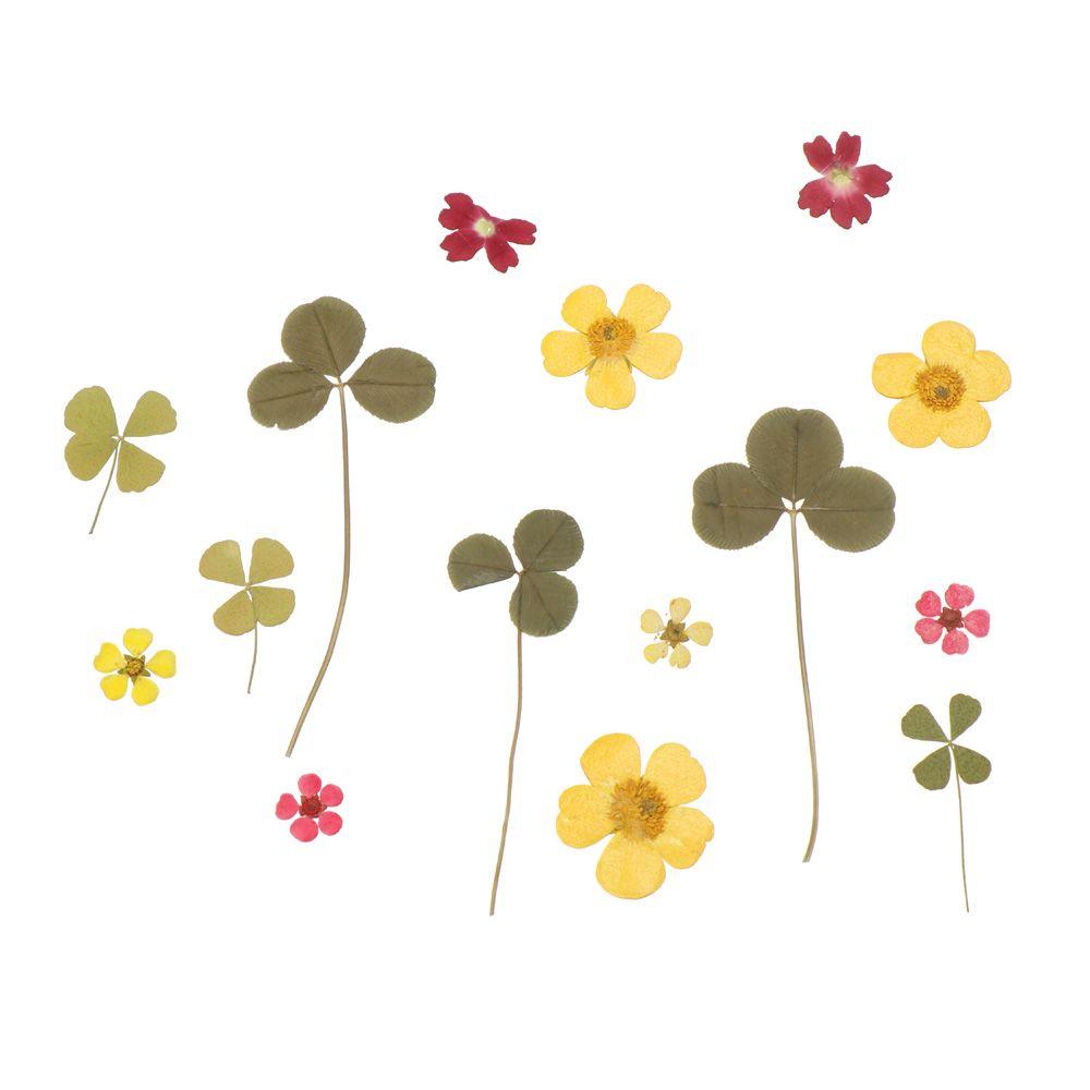 Jewelry Making Filling Materials Dried Flowers Resin Filler Beauty Decal Resin Mold Filling Flower