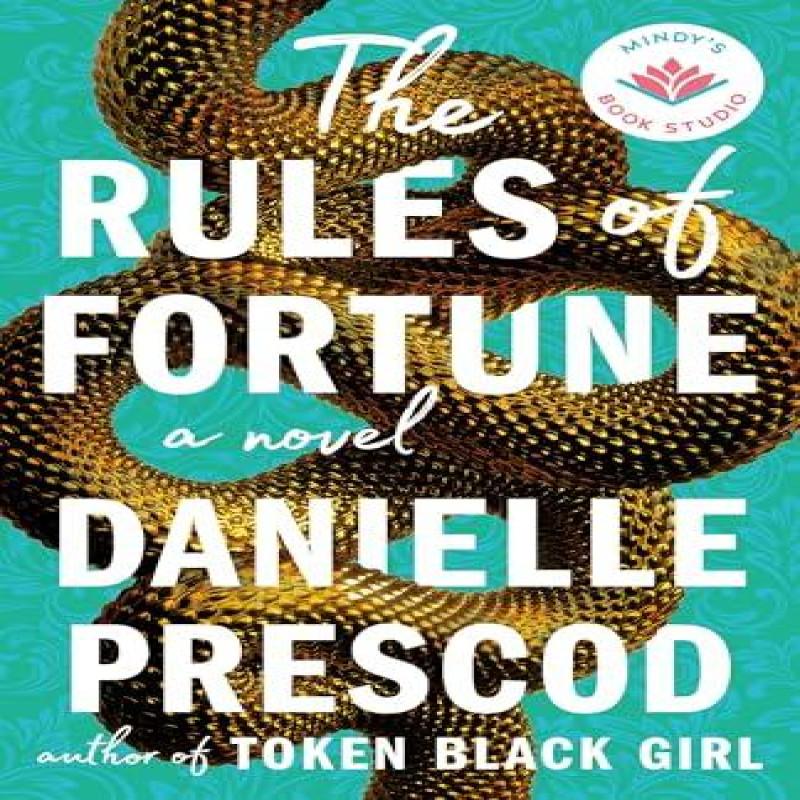 The Rules of Fortune by Danielle Prescod Paperback Book 9781662520143