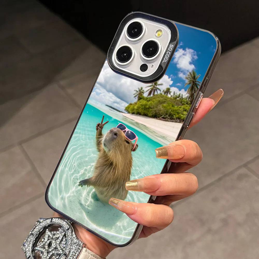 Cute Fun Capybara Phone Case For iPhone 17,16,15,14,13,12,11 Plus,Pro Max,XS,Colorful Silver Black Cover