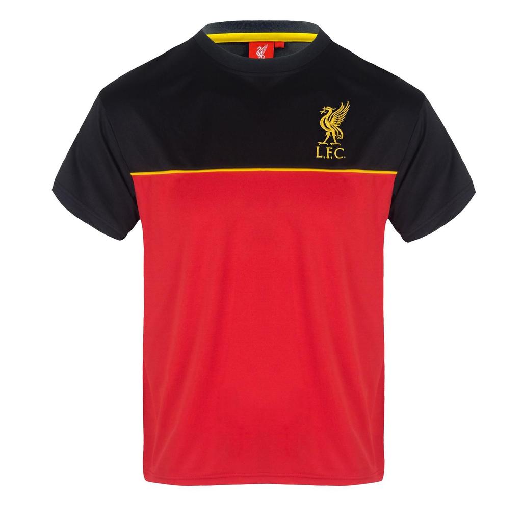 Liverpool FC Boys Virgil 4 Polyester T-Shirt