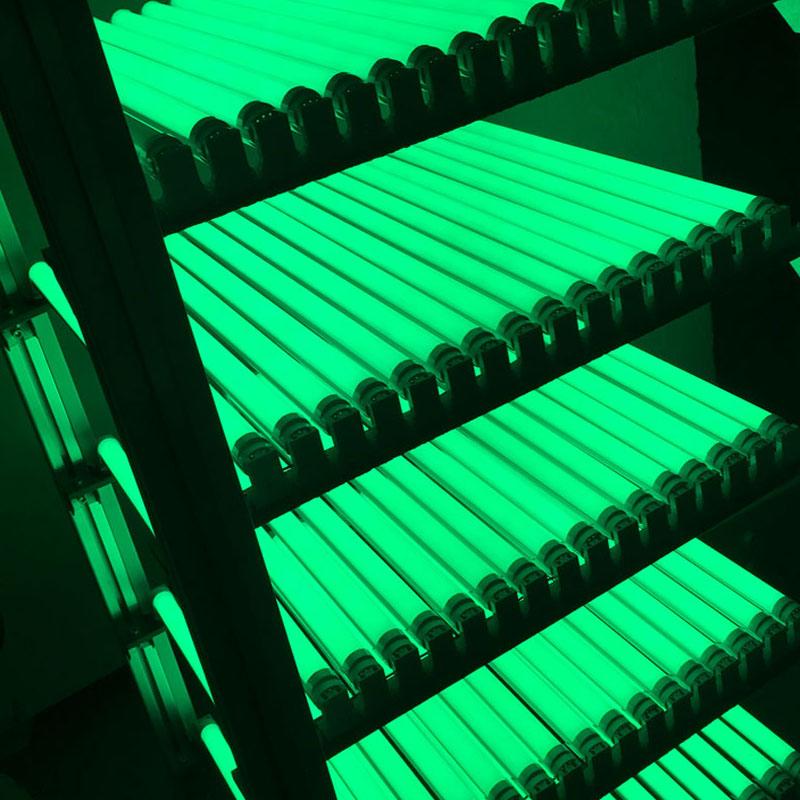 Светодиодный выключатель T5 Tube Light 30 см 6 Вт 60 см 10 Вт Светодиодные люминесцентные лампы T5 Wall Lamps белый теплый розовый зеленый синий светильник для растений