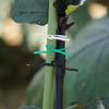 1Pcs Garden Plant Ties With Trimmer, Twist Ties,Rust Free For Gardening And Office Organization (Black)