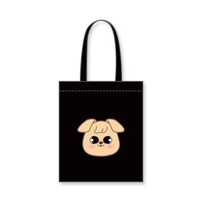 Stray Kids Canvas ECOBAG Холщовая эко-сумка_ebl_skz_13 (Черный/СЫНМИН)