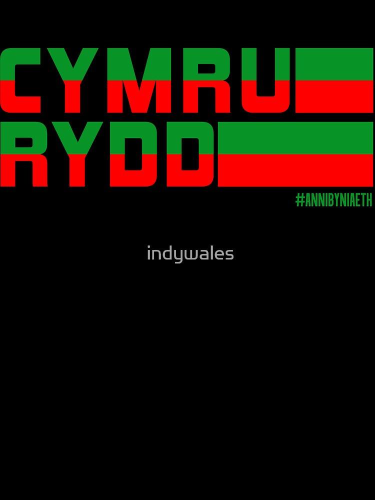 YES Cymru Rydd, Free Wales, IndyWales, Annibyniaeth Oversized T-Shirt