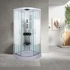Arc Shower Glass Door with Integrated Bathroom and Toilet for Wet/Dry Separation.