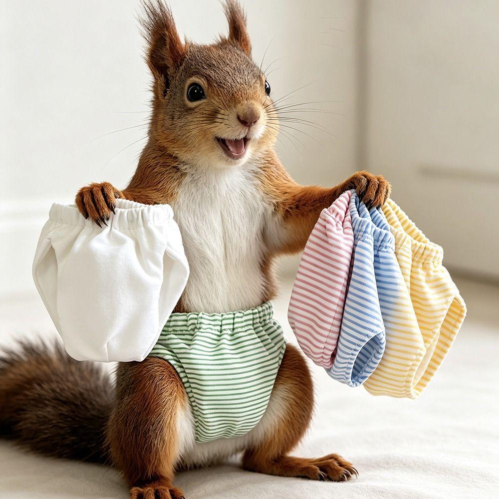 Breathable Hamster Training Pants Absorbent Hamster Underwear Soft Squirrel Diapers Senior Pets