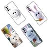 Cute Cartoon Rabbit Phone Case For Samsung M30 M31 S Note 10 20 M04 M13 M32 M14 M23 M33 M34 M42 M52 M53 M54 M11 M12 M21 M22 M51