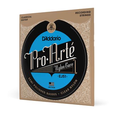 Струны для классической гитары Pro Arte Polished Silver Hard EJ51 D'Addario []