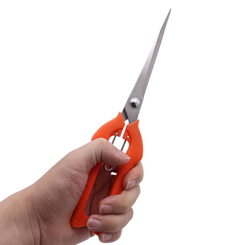 Овощная обрезка Обрезка фруктов Садовые ножницы Легкие Цветочные ножницы Для легкой работы Детальный уход за растениями