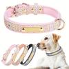 Pet Collar Double D Ring Hangable Accessories Space Cotton Inner Large and Medium Dog Collar
