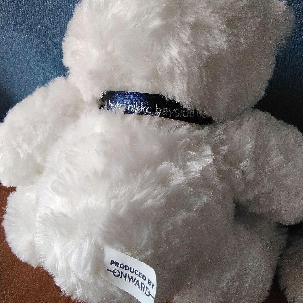 [USED] Mini Teddy Bear (Pair/Twins) Stuffed Bears