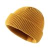 Winter Acrylic Warm Bean Hat Cute and Versatile Light Plate Wool Cold Proof Flip Knit Hat