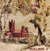 CD РАЗНОЕ - Canterburied Sounds Том 3 VP203CD Voiceprint 1998 UK Jazz Used