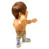 16d Collection 16d Collection 010 New Japan Pro Wrestling Кота Ибуси Стандартный цвет