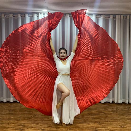 1 Set Performance Telescopic Rod 360 Wings Egyptian Degree Belly Dance Cape with Costume Pleated Bright