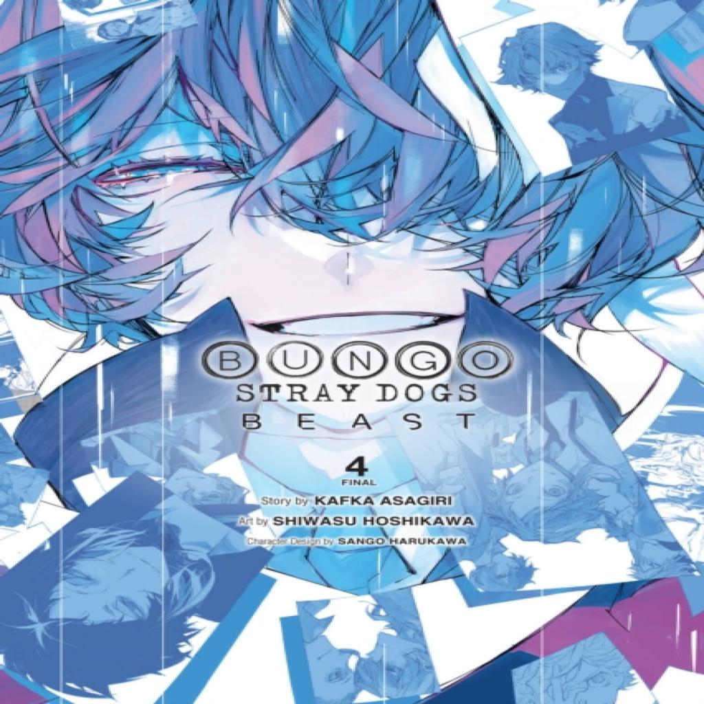 Bungo Stray Dogs Beast Vol. 4 by Shiwasu Hoshikawa Paperback Book 9781975360306