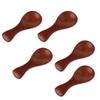 Wooden Lacquered Tea Spoon Set of 5 Current Model J-kitchens 8x3.5cm