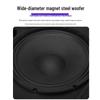KAXISAIER Commercial 10-inch Wall-Mounted Speaker N10