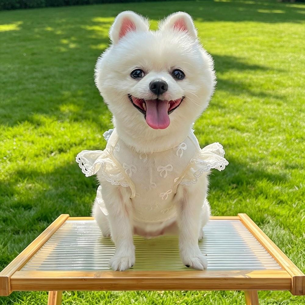 Hollow Out Anti Mosquito Bite Dog Vest UV Protection Anti Shedding Pet Clothing Outdoor