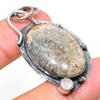 Fossil Coral, Chalcedony 925 Sterling Silver Jewelry Pendant 2.17" i7H50