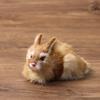 Desktop Furnishings Children's Birthday Gifts Rabbit Model Simulation Easter Rabbits Plush Toys